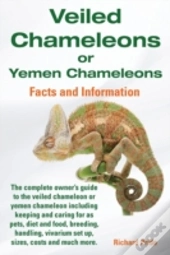Veiled Chameleons Or Yemen Chameleons
