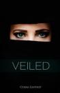 Veiled - Preview