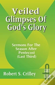 Capa do artigo Veiled Glimpses Of God