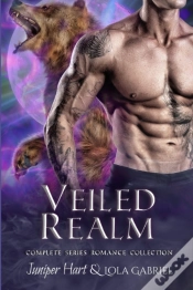 Capa do artigo Veiled Realm