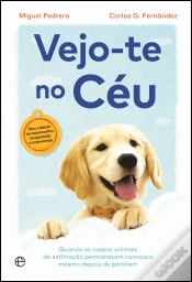 Capa do artigo Vejo-te no Céu