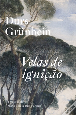 Capa do artigo Velas de Ignição