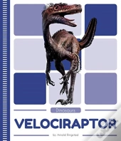 Velociraptor
