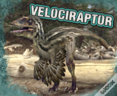Velociraptor