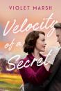 Velocity Of A Secret - Preview