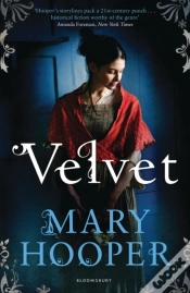 Capa do artigo Velvet