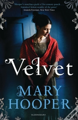 Capa do artigo Velvet
