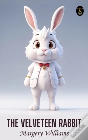 Capa do artigo Velveteen Rabbit