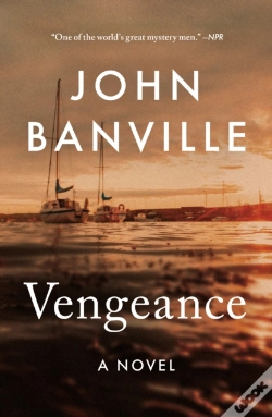 Capa do artigo Vengeance