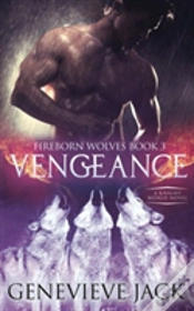 Capa do artigo Vengeance