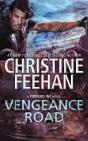 Vengeance Road - Preview