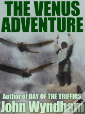 Capa do artigo Venus Adventure