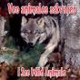 Veo Animales Salvajes - Preview