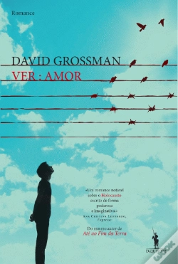 Capa do artigo Ver: Amor