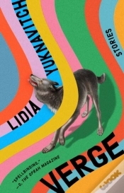 Capa do artigo Verge