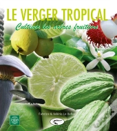 Verger Tropical ; Cultiver Les Arbres Fruitiers