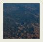 Vergers - Vinil - Preview