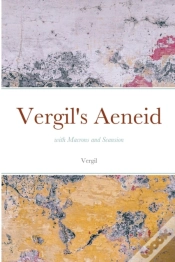 Capa do artigo Vergil