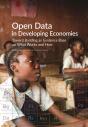 Verhulst: Open Data In Developing Economies - Preview