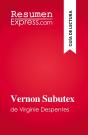 Vernon Subutex : De Virginie Despentes - Preview