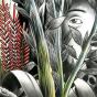 Vers Les Lueurs - Vinil - Preview