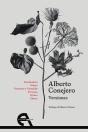 Versiones - Preview