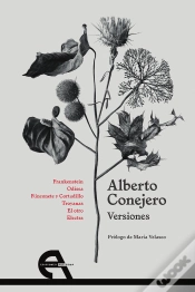 Capa do artigo Versiones