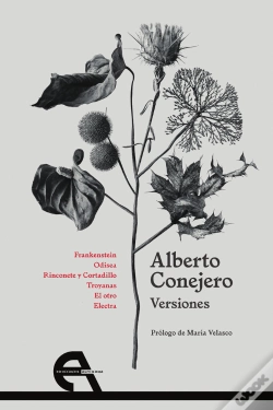 Capa do artigo Versiones