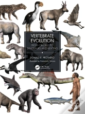 Capa do artigo Vertebrate Evolution