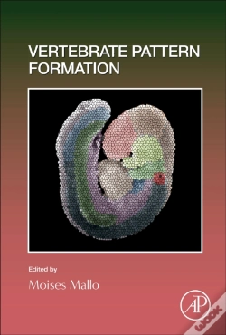 Capa do artigo Vertebrate Pattern Formation