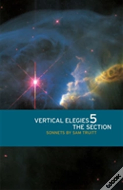 Capa do artigo Vertical Elegies 5