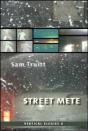 Vertical Elegies 6 - Preview