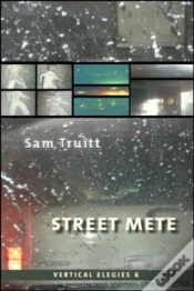 Capa do artigo Vertical Elegies 6