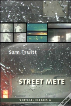 Capa do artigo Vertical Elegies 6