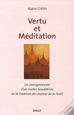 Capa do artigo Vertu Et Meditation