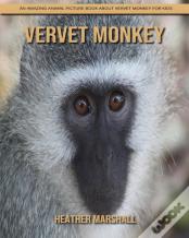 Vervet Monkey