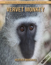 Capa do artigo Vervet Monkey