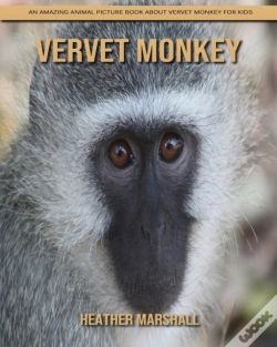 Capa do artigo Vervet Monkey