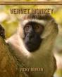 Vervet Monkey - Preview