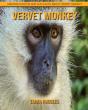 Vervet Monkey - Preview