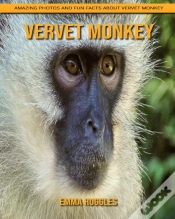 Capa do artigo Vervet Monkey