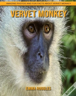 Capa do artigo Vervet Monkey