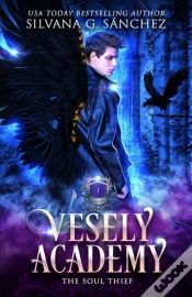 Capa do artigo Vesely Academy