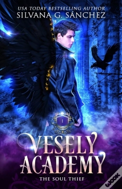 Capa do artigo Vesely Academy