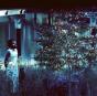 Vesper Sparrow - CD - Preview