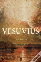 Capa do artigo Vesuvius