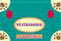Veterinario Al Rescate - Maletín - Preview