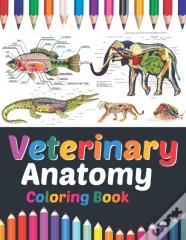 Veterinary Anatomy Coloring Book