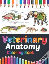 Veterinary Anatomy Coloring Book