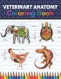 Veterinary Anatomy Coloring Book - Preview